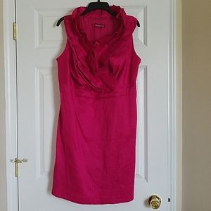 Magenta Taffeta Dress